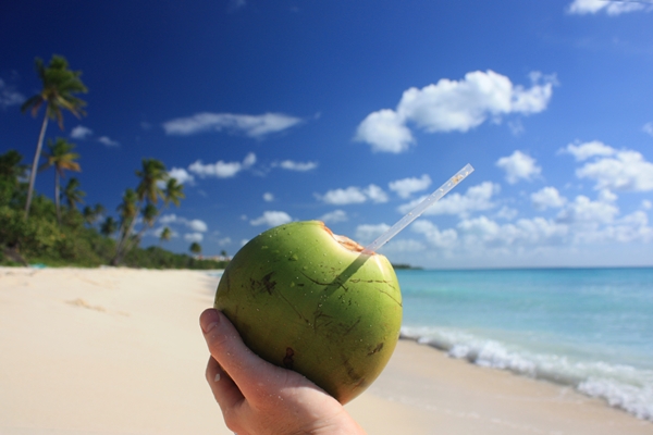 Zielony kokos